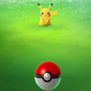 Pokémon Go: Paseando a miss Pidgey